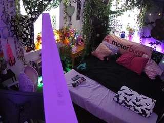 voyeurcam-veccasalt-... webcam