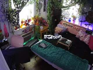 voyeurcam-veccasalt-01