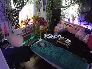 voyeurcam-veccasalt-01