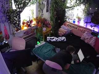 voyeurcam-veccasalt-01
