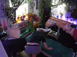 voyeurcam veccasalt 01