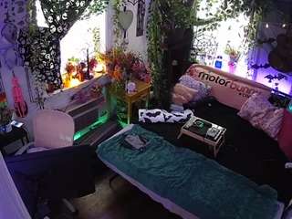 voyeurcam-veccasalt-01