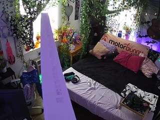 voyeurcam-veccasalt-... webcam