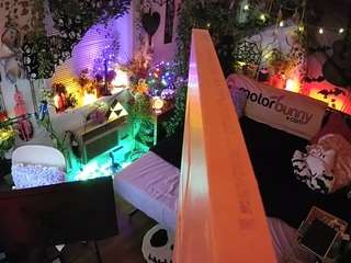 voyeurcam-veccasalt-01