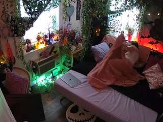 voyeurcam veccasalt 01