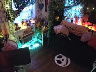 voyeurcam-veccasalt-01