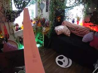 voyeurcam veccasalt 01
