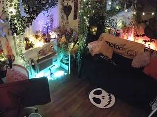 voyeurcam-veccasalt-... webcam