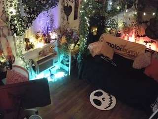 voyeurcam veccasalt 01
