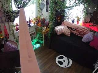 voyeurcam-veccasalt-... webcam