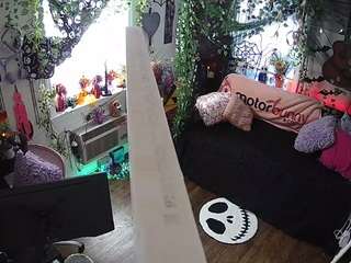 voyeurcam-veccasalt-01