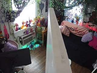 voyeurcam-veccasalt-01