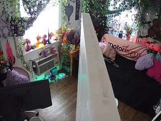 voyeurcam-veccasalt-... webcam