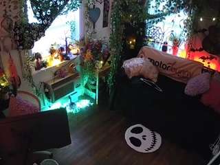voyeurcam-veccasalt-01