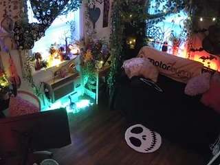 voyeurcam-veccasalt-01