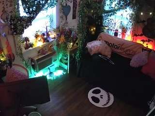 voyeurcam-veccasalt-01