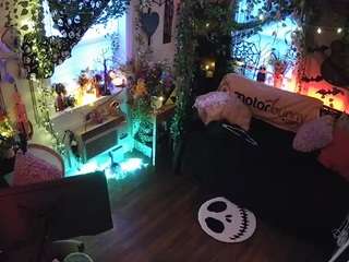 voyeurcam-veccasalt-01