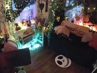 voyeurcam-veccasalt-01