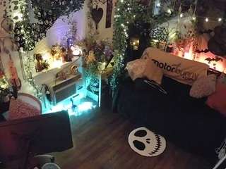 voyeurcam-veccasalt-... webcam
