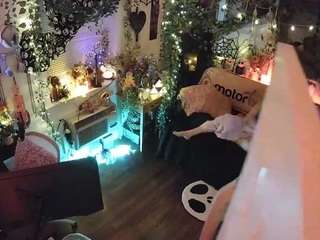 voyeurcam-veccasalt-01