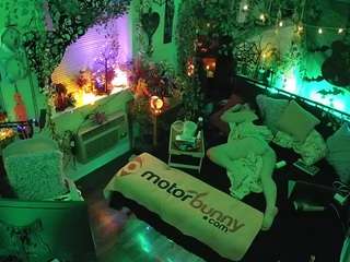 voyeurcam-veccasalt-... webcam