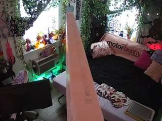 voyeurcam-veccasalt-01