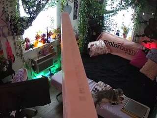 voyeurcam-veccasalt-01