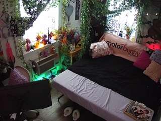voyeurcam-veccasalt-... webcam