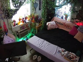 voyeurcam-veccasalt-01