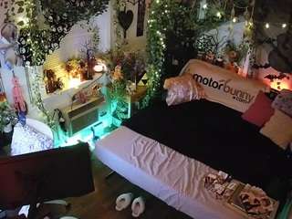 voyeurcam-veccasalt-... webcam