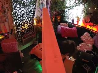 voyeurcam-veccasalt-01