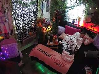 voyeurcam veccasalt 01