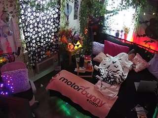 voyeurcam veccasalt 01
