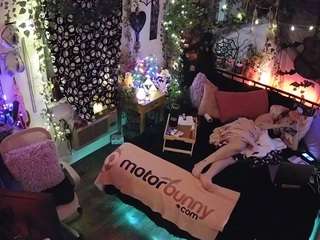 voyeurcam-veccasalt-01