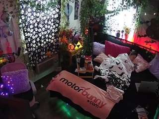 voyeurcam-veccasalt-01
