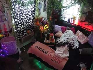 voyeurcam-veccasalt-01