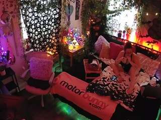 voyeurcam-veccasalt-01