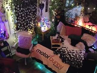 voyeurcam veccasalt 01