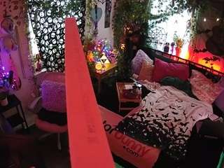 voyeurcam veccasalt 01