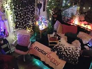 voyeurcam-veccasalt-01