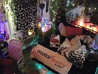 voyeurcam-veccasalt-01