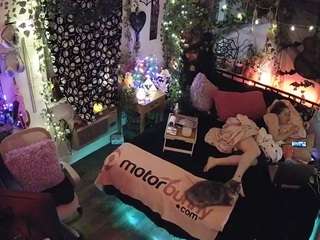 voyeurcam-veccasalt-01