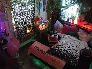 voyeurcam-veccasalt-01