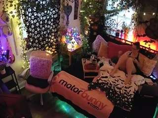 voyeurcam-veccasalt-01