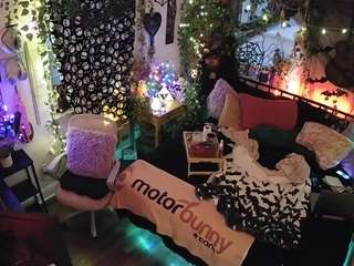 voyeurcam-veccasalt-01 from CamSoda is Freechat