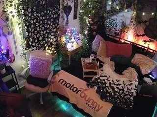 voyeurcam veccasalt 01