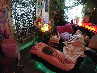 voyeurcam-veccasalt-01