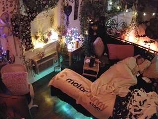 voyeurcam-veccasalt-01