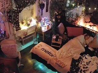 voyeurcam veccasalt 01