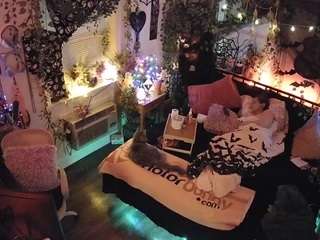 voyeurcam-veccasalt-01